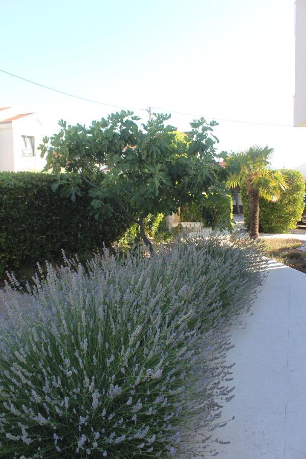 Opera 3 Apartment Zadar Exterior photo